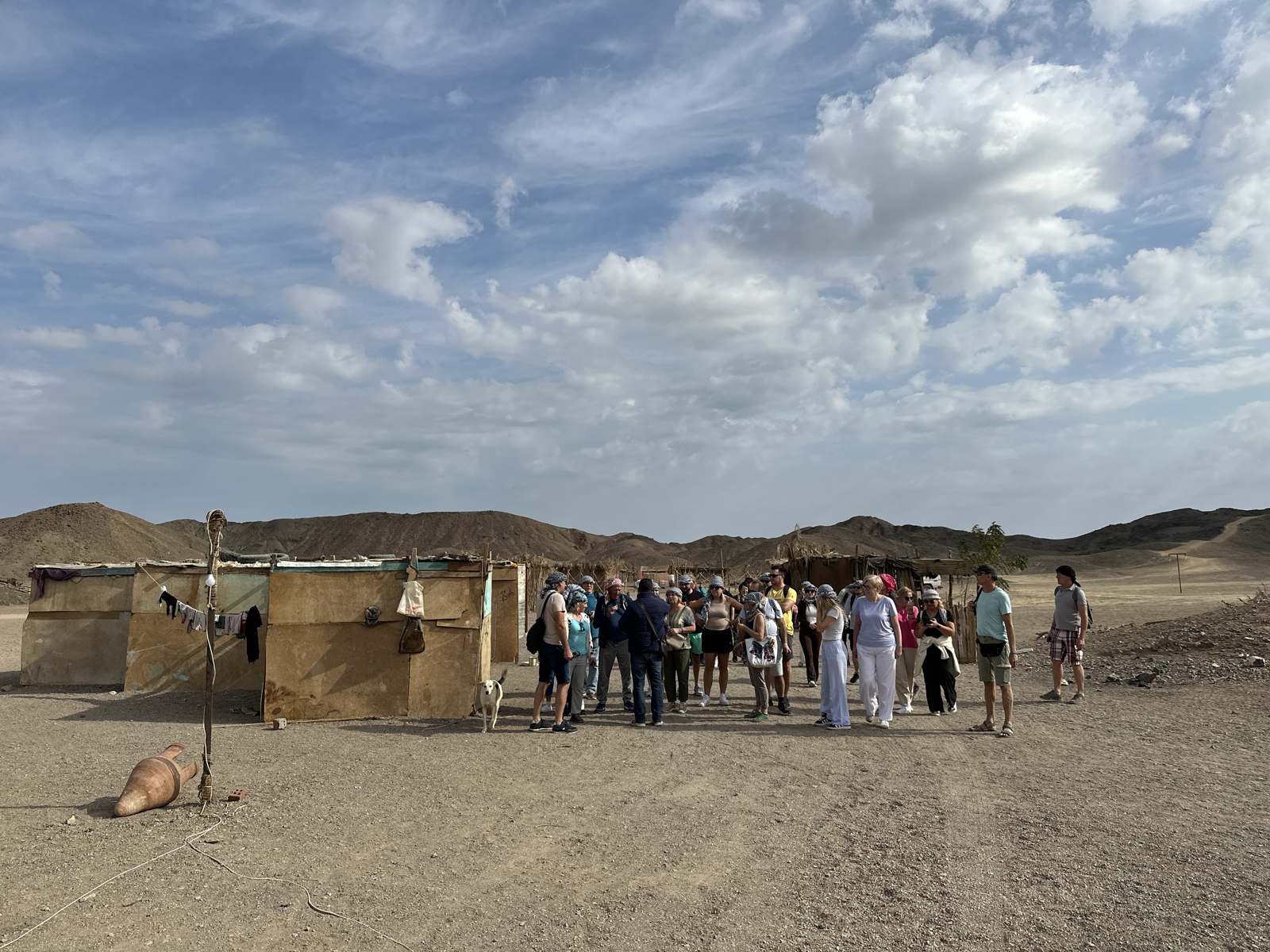 Desert Safari Experience